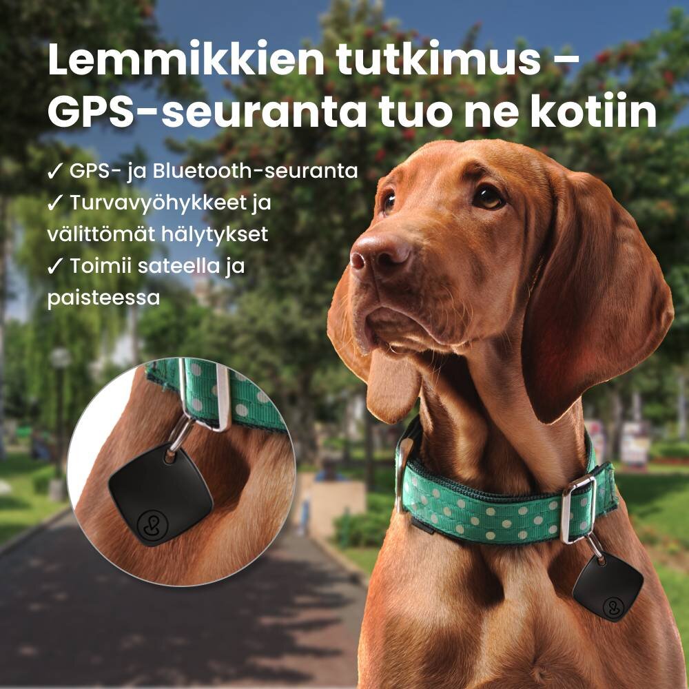 SpyFocus image