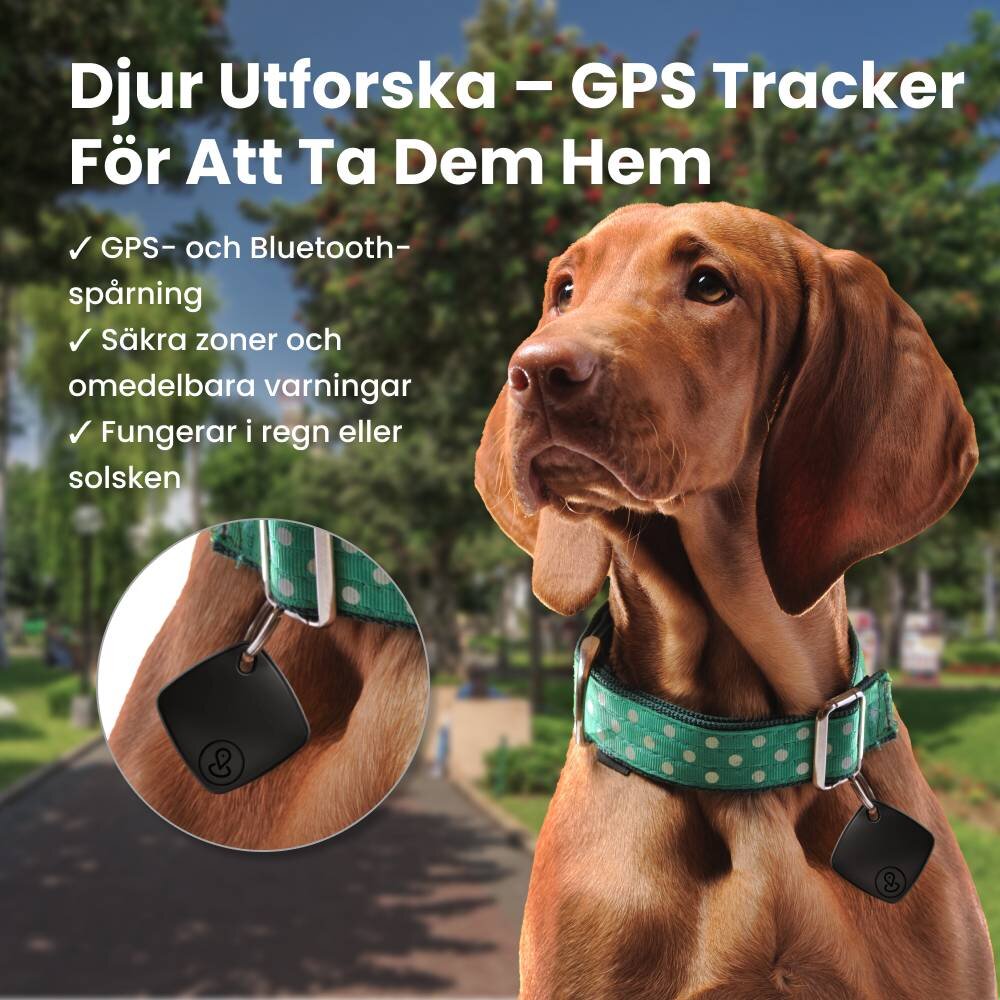SpyFocus image